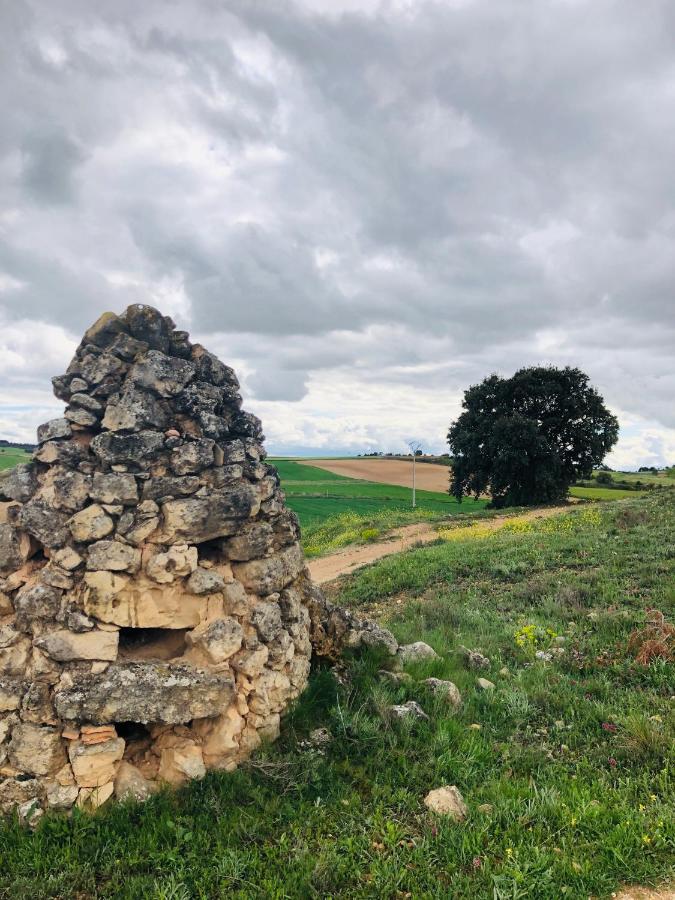 Apartamentos Ribera Del Duero Las Escuelas Vadocondes Exteriör bild
