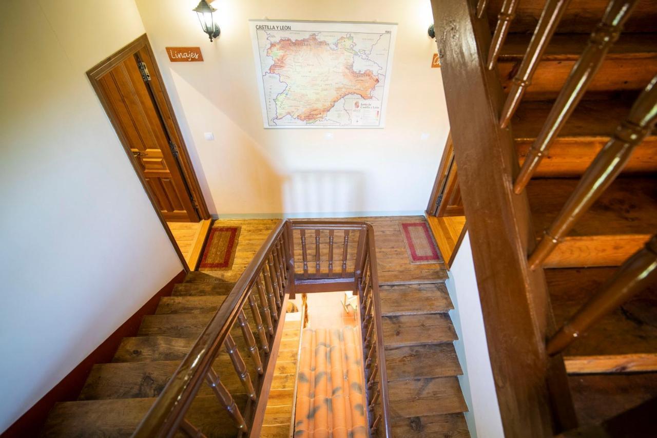 Apartamentos Ribera Del Duero Las Escuelas Vadocondes Exteriör bild